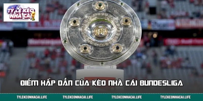 Điểm hấp dẫn của kèo nhà cái Bundesliga